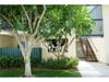 12200 MONTECITO Road Unit #E106, Seal Beach CA 90740